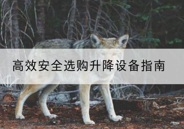 涟水升降货梯厂家推荐-*安全选购升降设备指南