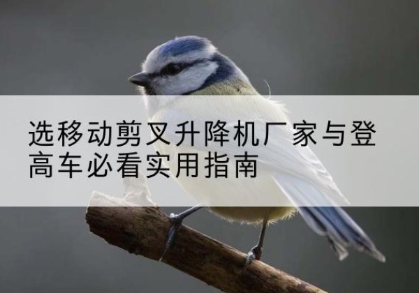 涟水电动升降机厂家-选移动剪叉升降机厂家与登高车必看实用指南
