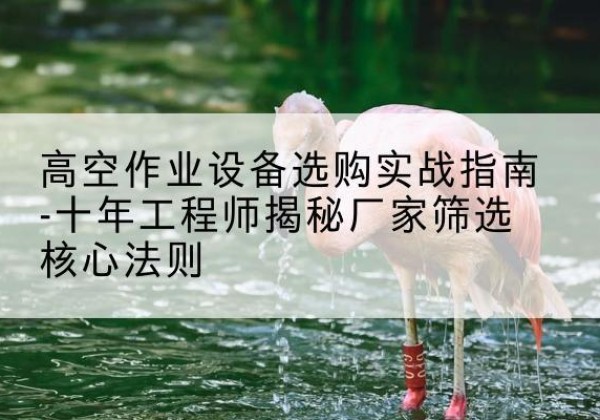 涟水剪叉式升降机厂家-高空作业设备选购实战指南-十年工程师揭秘厂家筛选核心法则