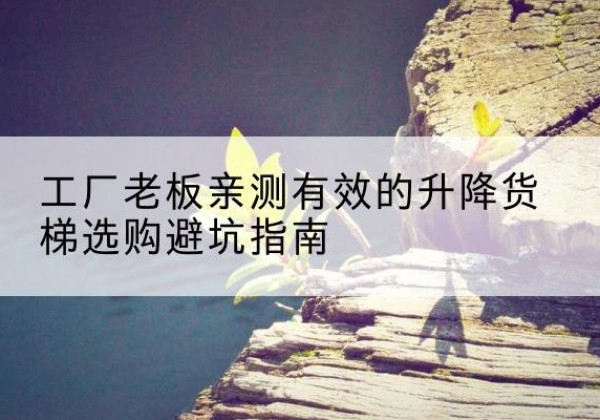 涟水升降货梯怎么选-工厂老板亲测有效的升降货梯选购避坑指南